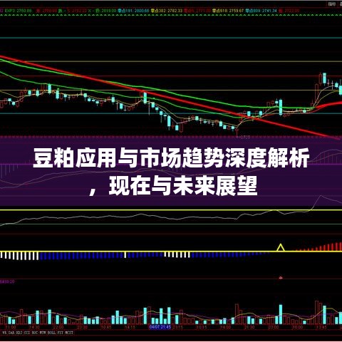 豆粕應(yīng)用與市場(chǎng)趨勢(shì)深度解析，現(xiàn)在與未來展望