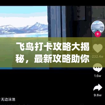 飛鳥打卡攻略大揭秘，最新攻略助你暢游天際！