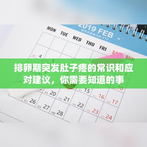 排卵期突發(fā)肚子疼的常識(shí)和應(yīng)對(duì)建議，你需要知道的事