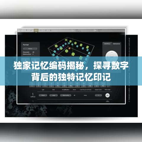 獨家記憶編碼揭秘，探尋數(shù)字背后的獨特記憶印記