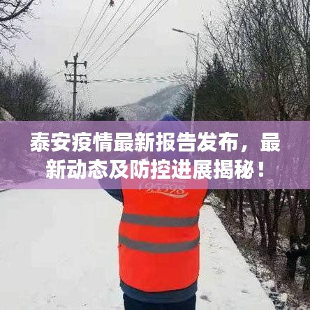 泰安疫情最新報(bào)告發(fā)布，最新動(dòng)態(tài)及防控進(jìn)展揭秘！