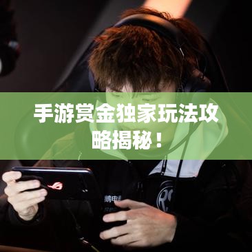 手游賞金獨(dú)家玩法攻略揭秘！