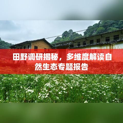田野調(diào)研揭秘，多維度解讀自然生態(tài)專題報(bào)告