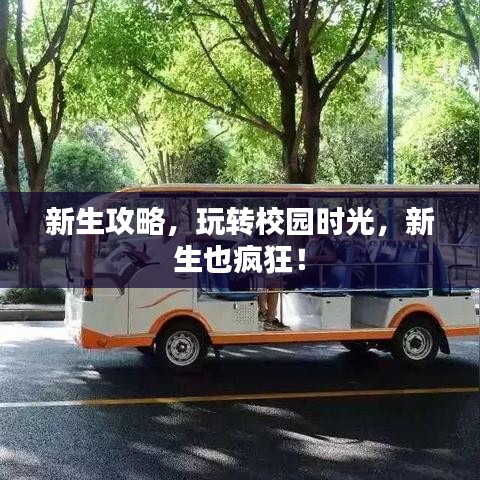新生攻略，玩轉校園時光，新生也瘋狂！