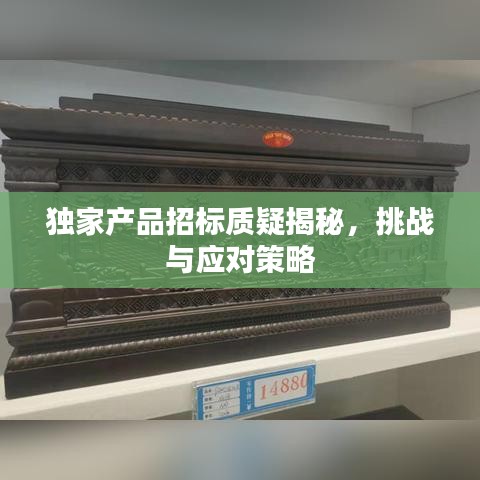 獨(dú)家產(chǎn)品招標(biāo)質(zhì)疑揭秘，挑戰(zhàn)與應(yīng)對(duì)策略